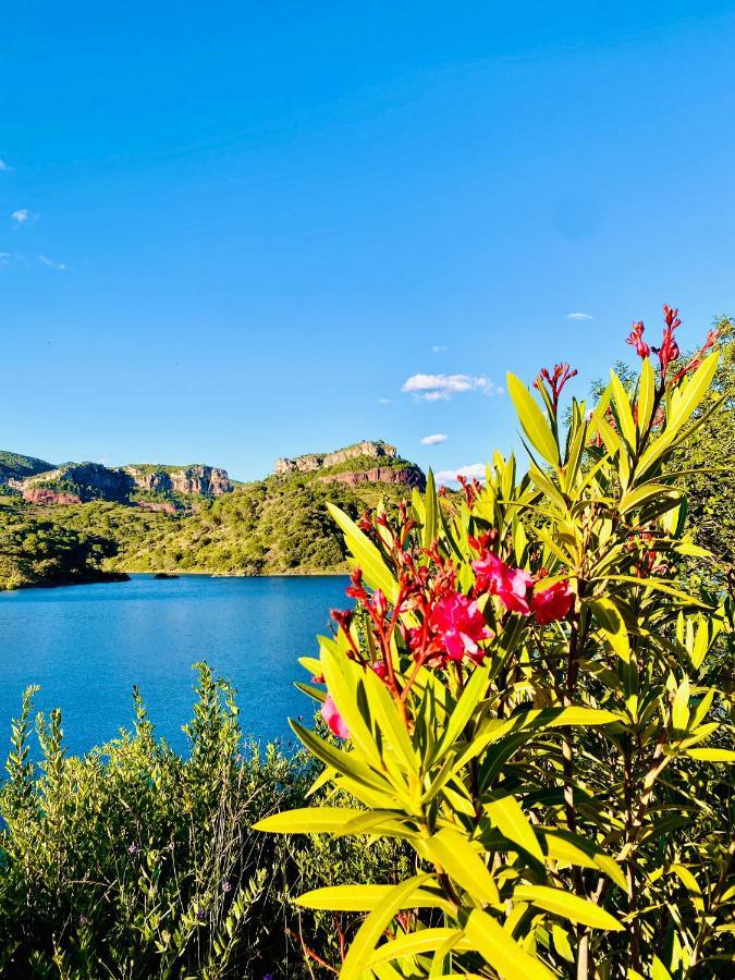 Apartaments Chenin Blanc-Priorat- Cornudella de Montsant Εξωτερικό φωτογραφία